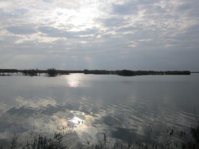 Прикрепленное изображение: IMG_0361.JPG